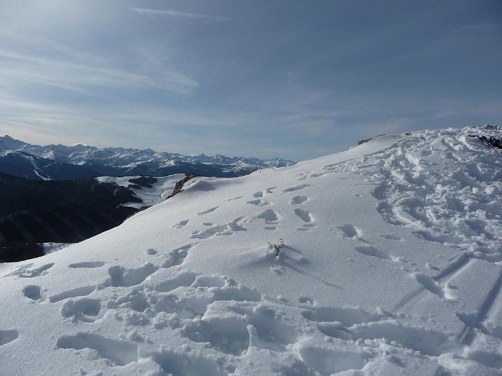 PTEAM_PicDoulent_2009 023.jpg